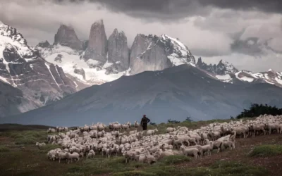 Discover the simple ways of living in Patagonia with Gonzalo Sanchez