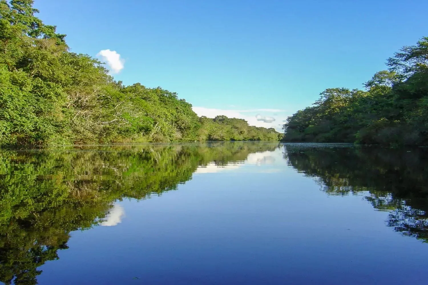 Peru Custom Private Travel Amazon Reflection 669f5b40ae7be