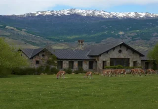 Explora Patagonia National Park 5 66c642d185332