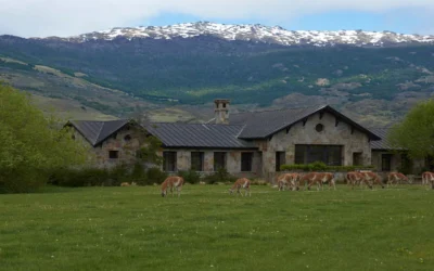 Explora Patagonia National Park