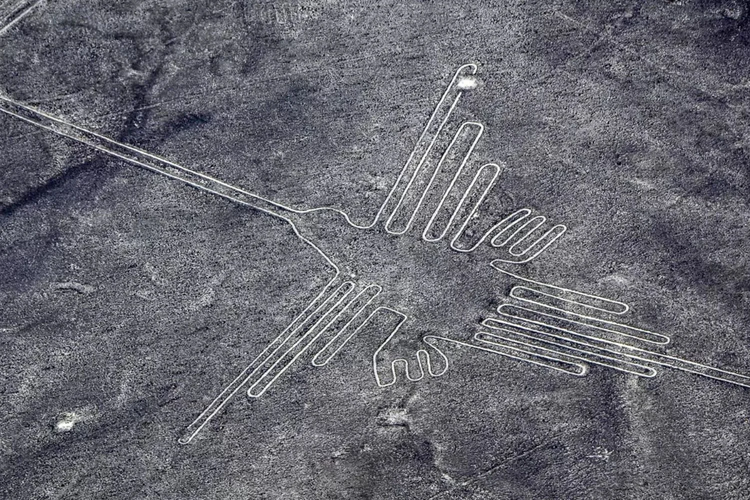 Peru Private Custom Travel Design Nazca Flight Hummingbird 2 66bc7cb4a9895