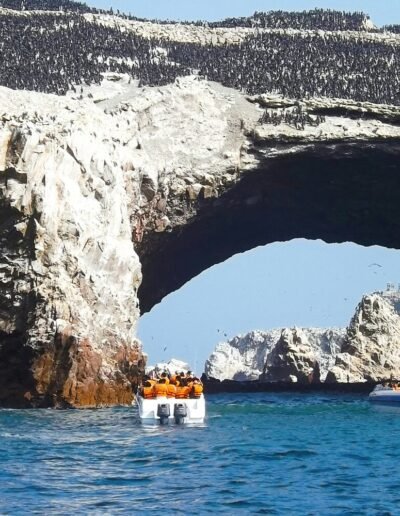 The Southern Coast Paracas Boat Tour