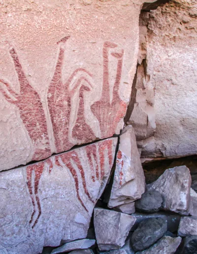 Private Travel Atacama Desert Chile Talabre Petroglyphs