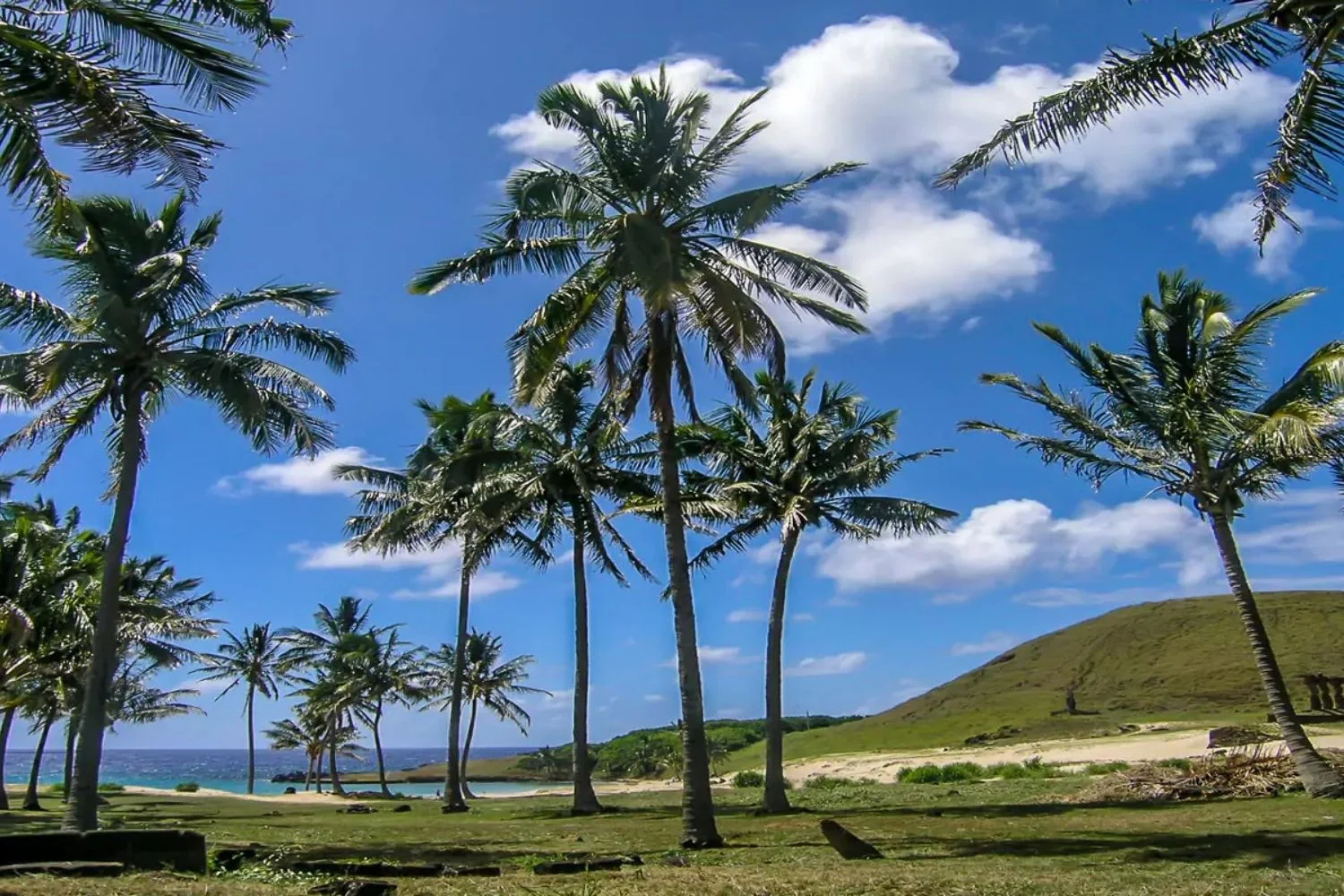 Private Travel Design Chile Easter Island Anakena
