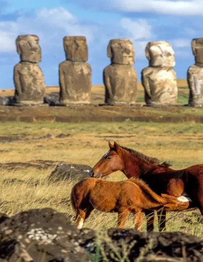 Private Travel Design Chile Easter Island Horses