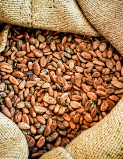 Cacao Beans