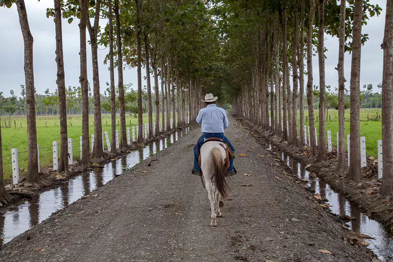 Guayaquil Hacienda Ride