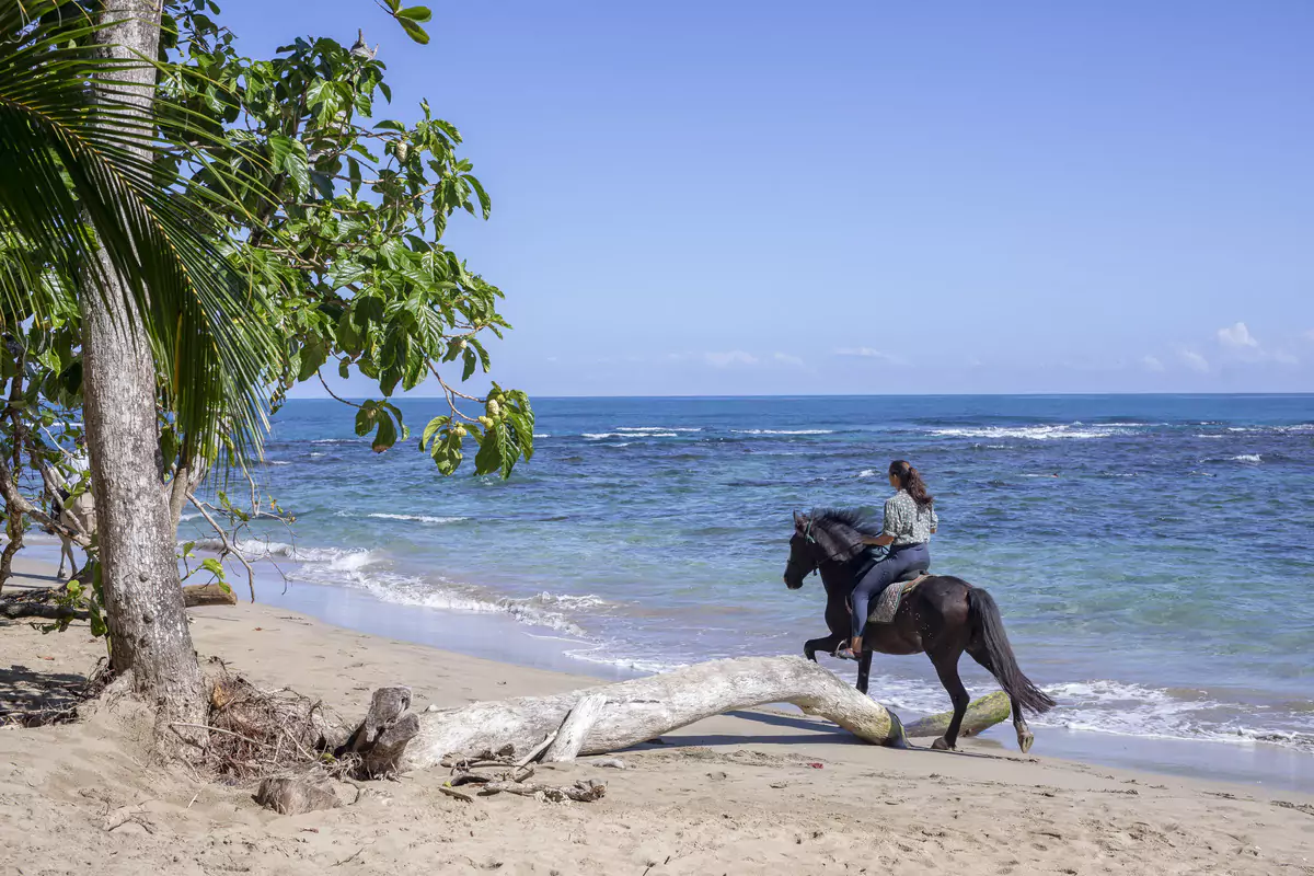 Horseback ridding at the Condors