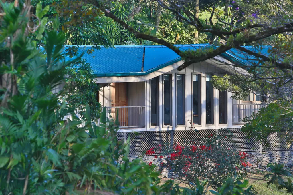 Senda Monteverde