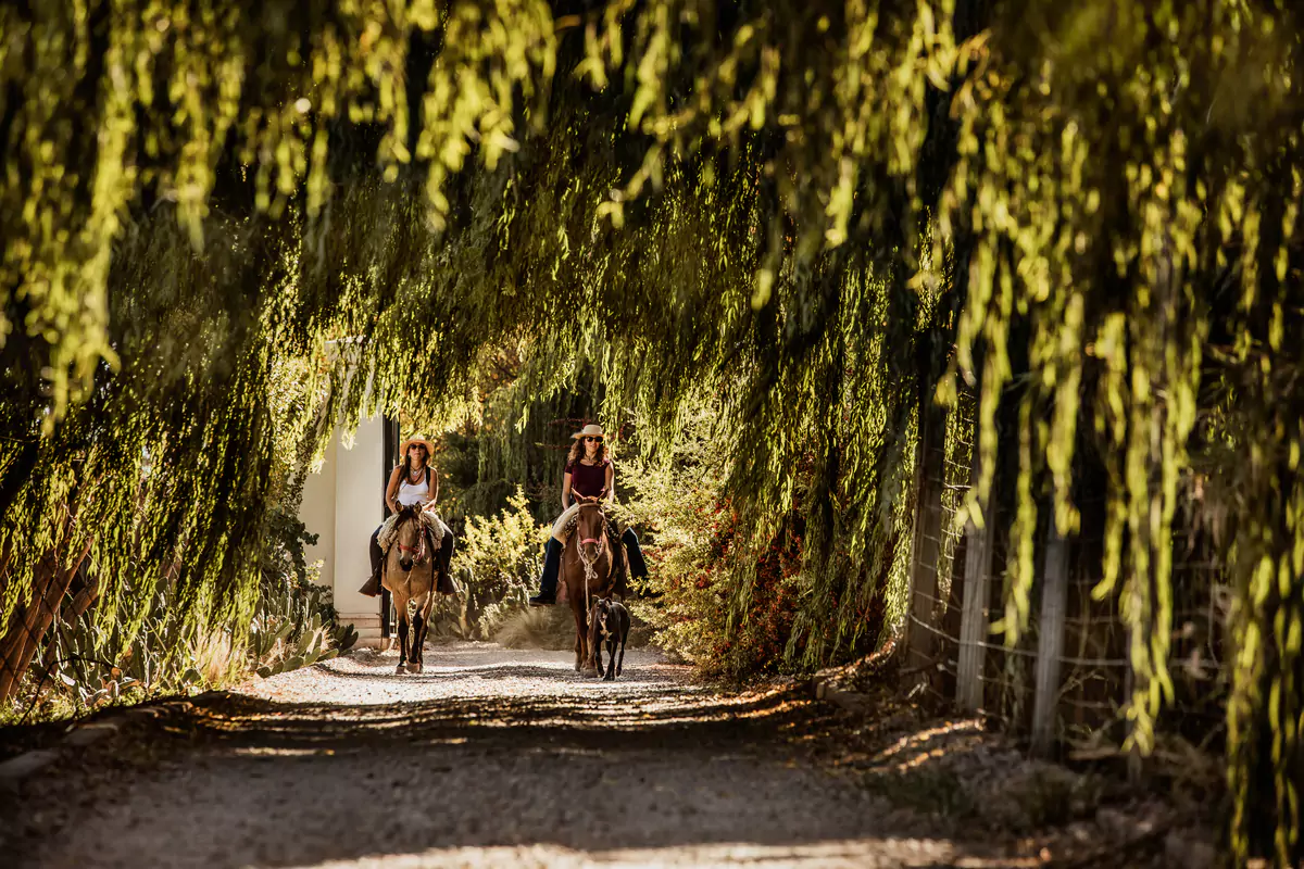 Cavas Horseback Riding