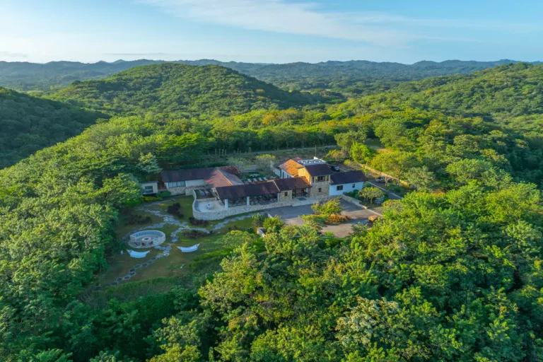 Nekupe Ariel View