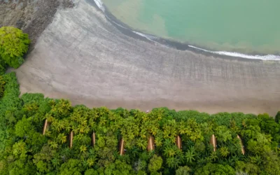 Isla Palenque