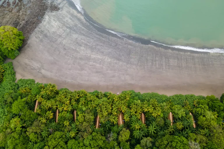 Isla Palenque