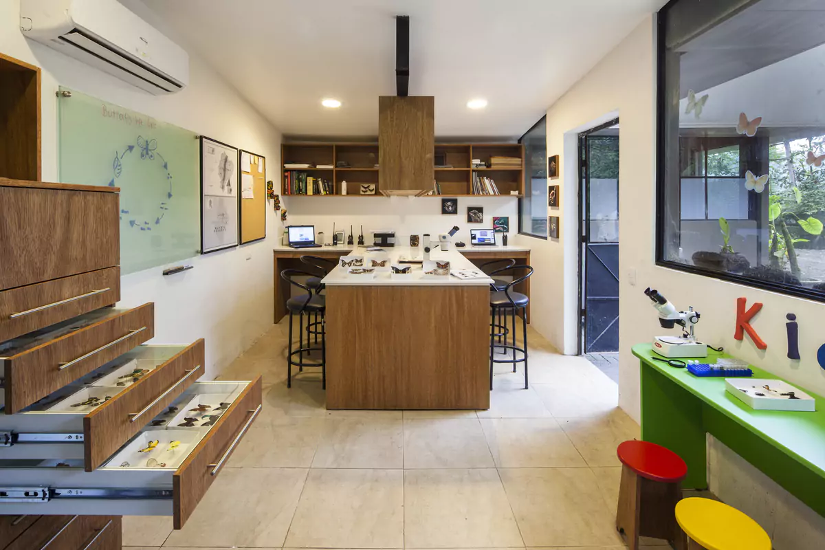 Mashpi Kids Laboratory
