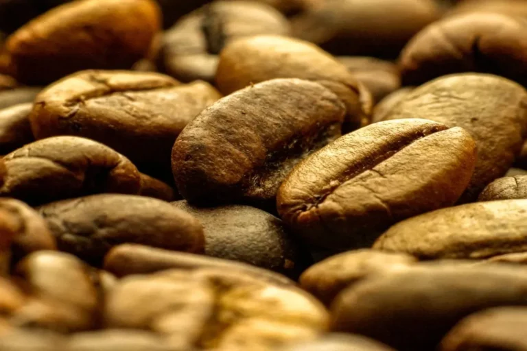 Colombia Coffee Country Beans