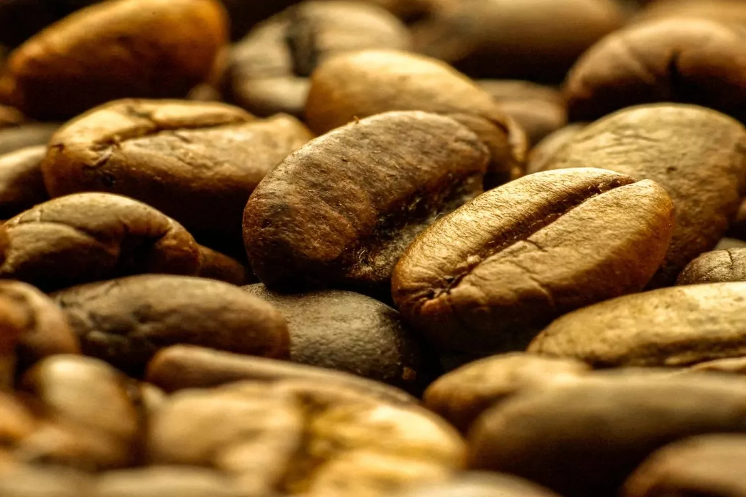 Colombia Coffee Country Beans