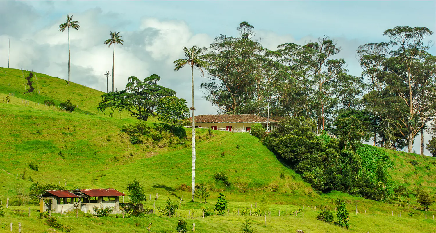 Colombia Coffee Country Cocora
