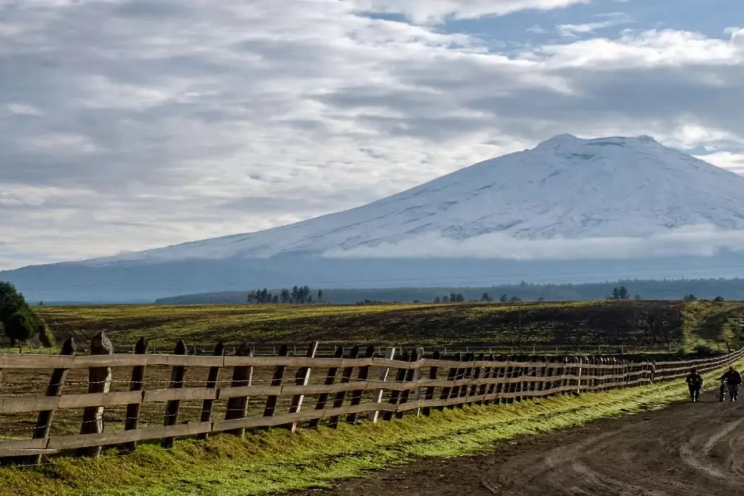 Cotopaxi Fence