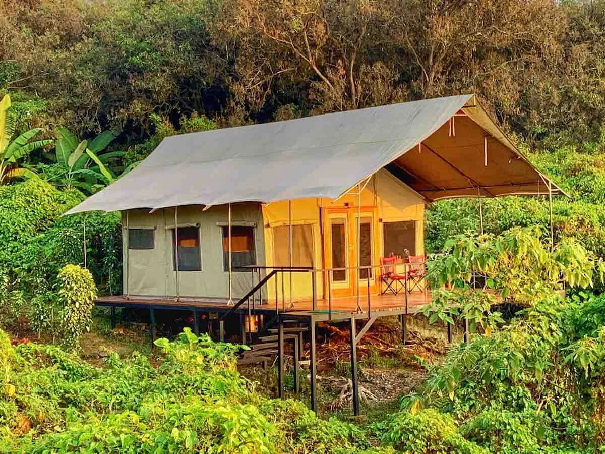 Scalesia Lodge Exterior