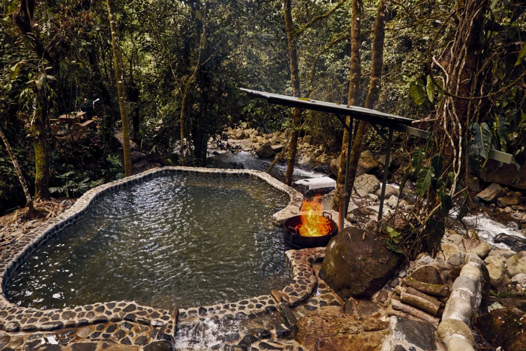 Pool in Costa Rican forest