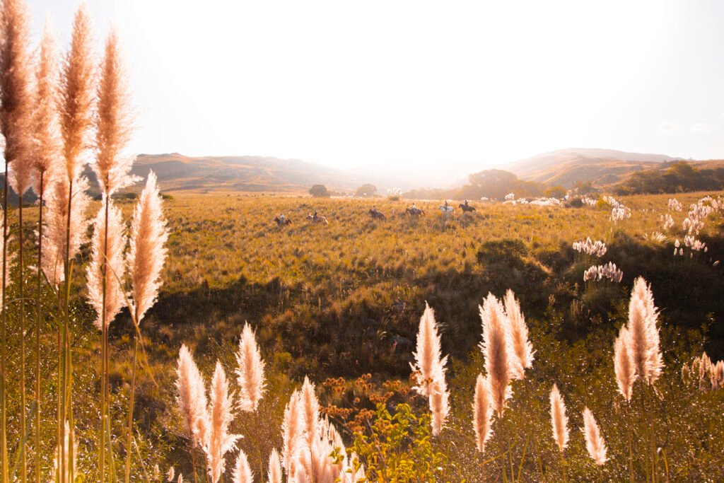 Horseback riding in Cordoba, Argentina