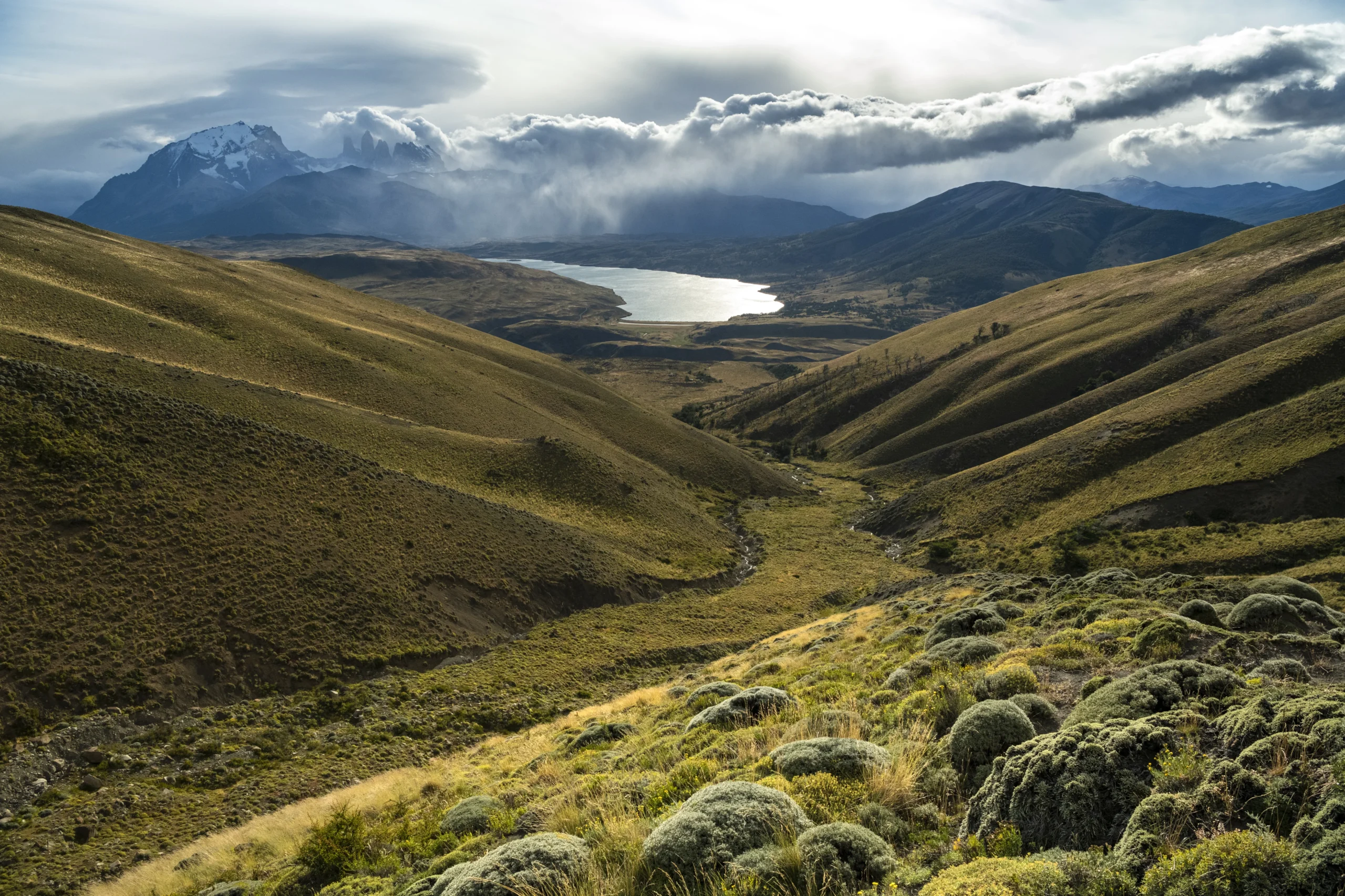 Conservation Reserve in Torres del Paine