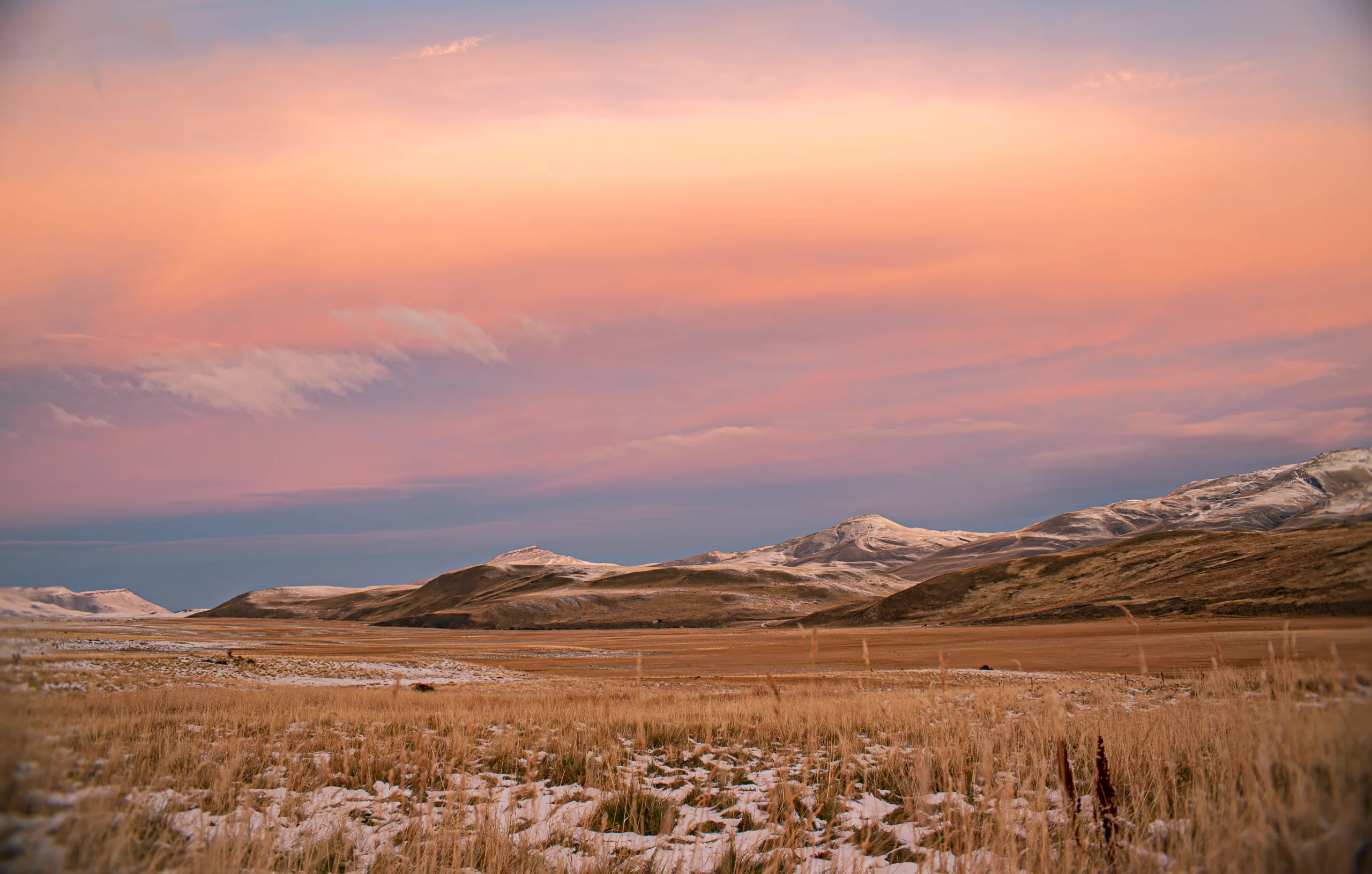 Conservation Reserve in Torres del Paine