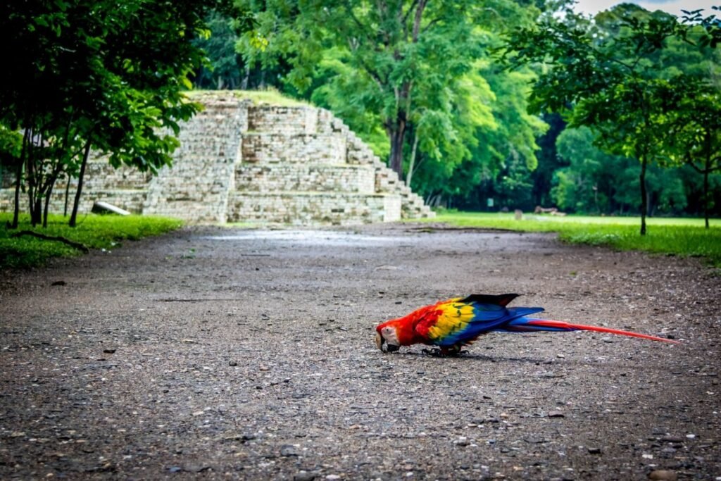 Private luxury Central America travel - Honduras