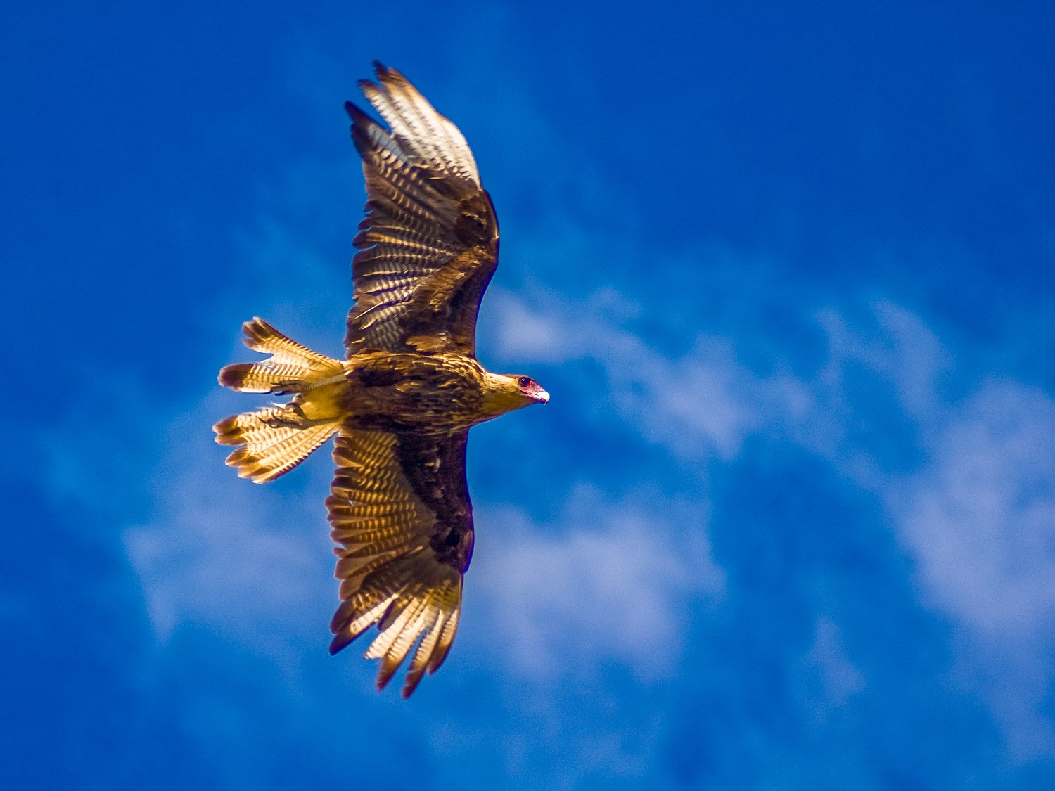 Luxury South America travel with private guides in Patagonia