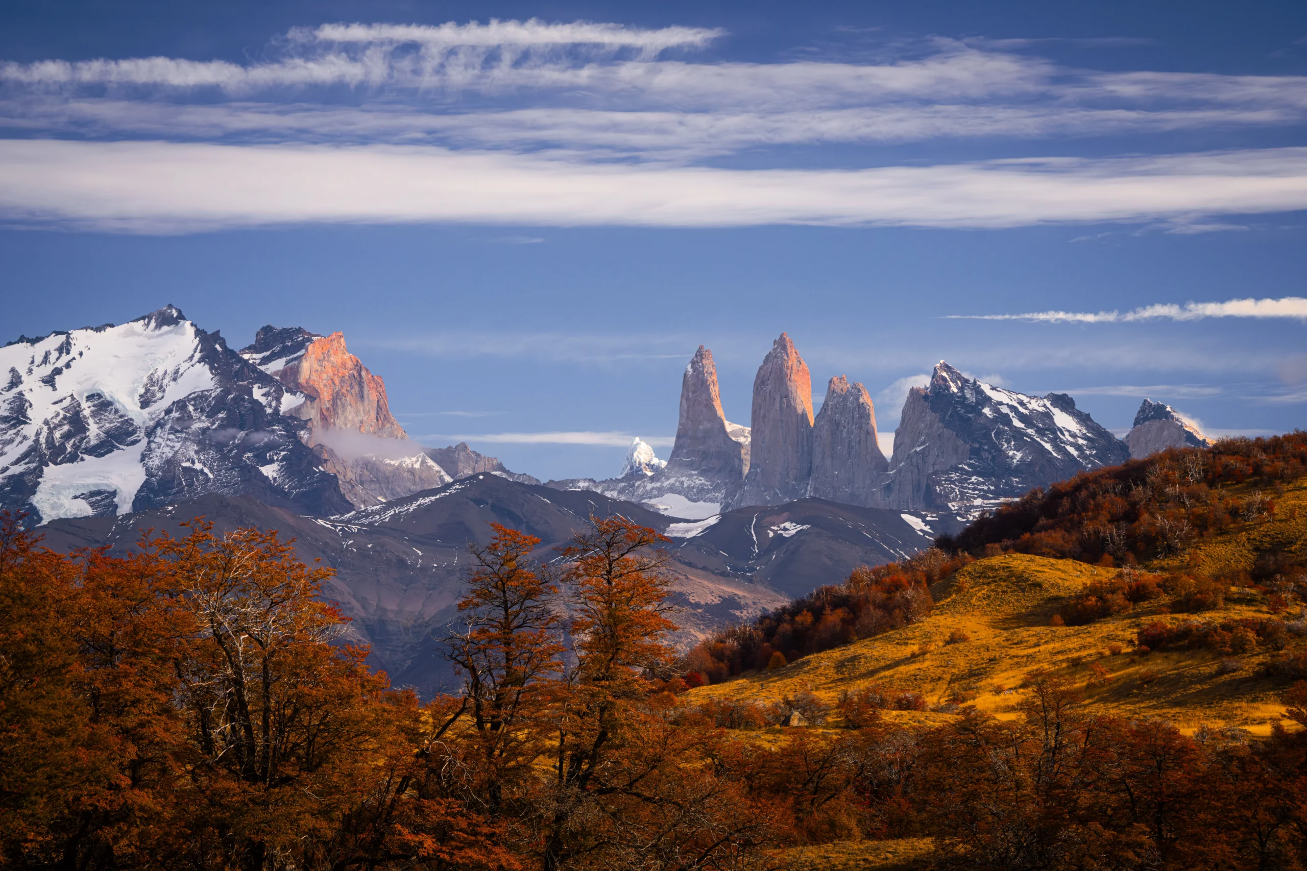 Conservation Reserve in Torres del Paine