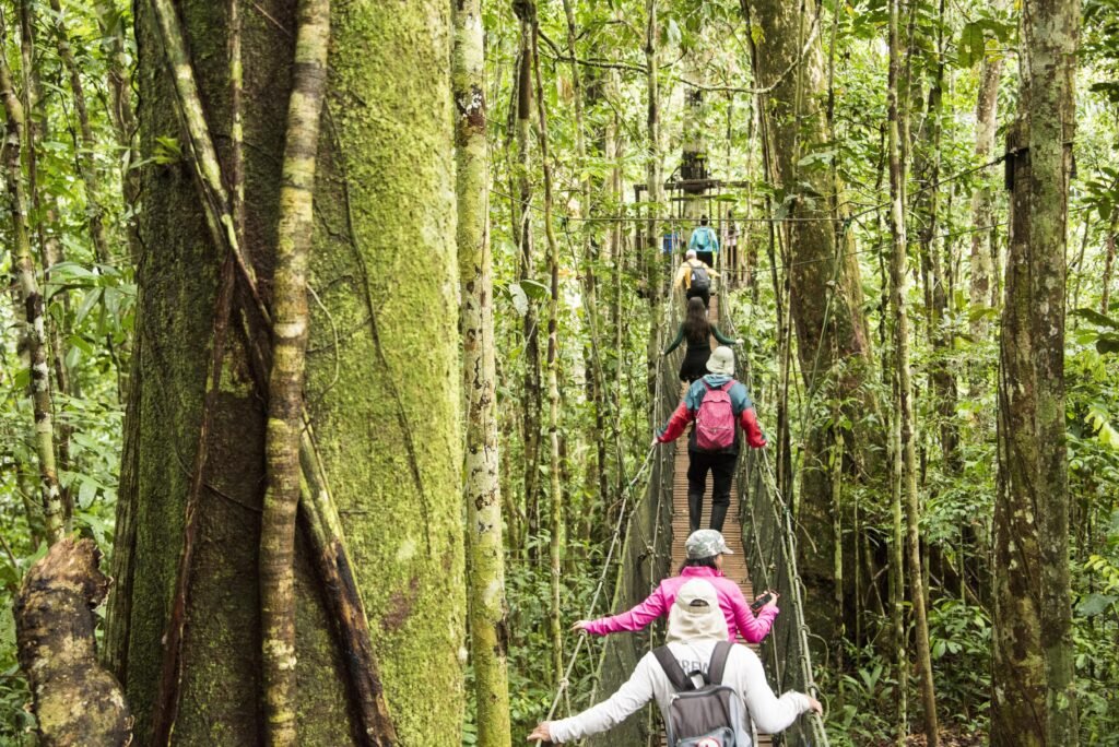 Family walking single file across a hanging bridge through the lush rainforest canopy