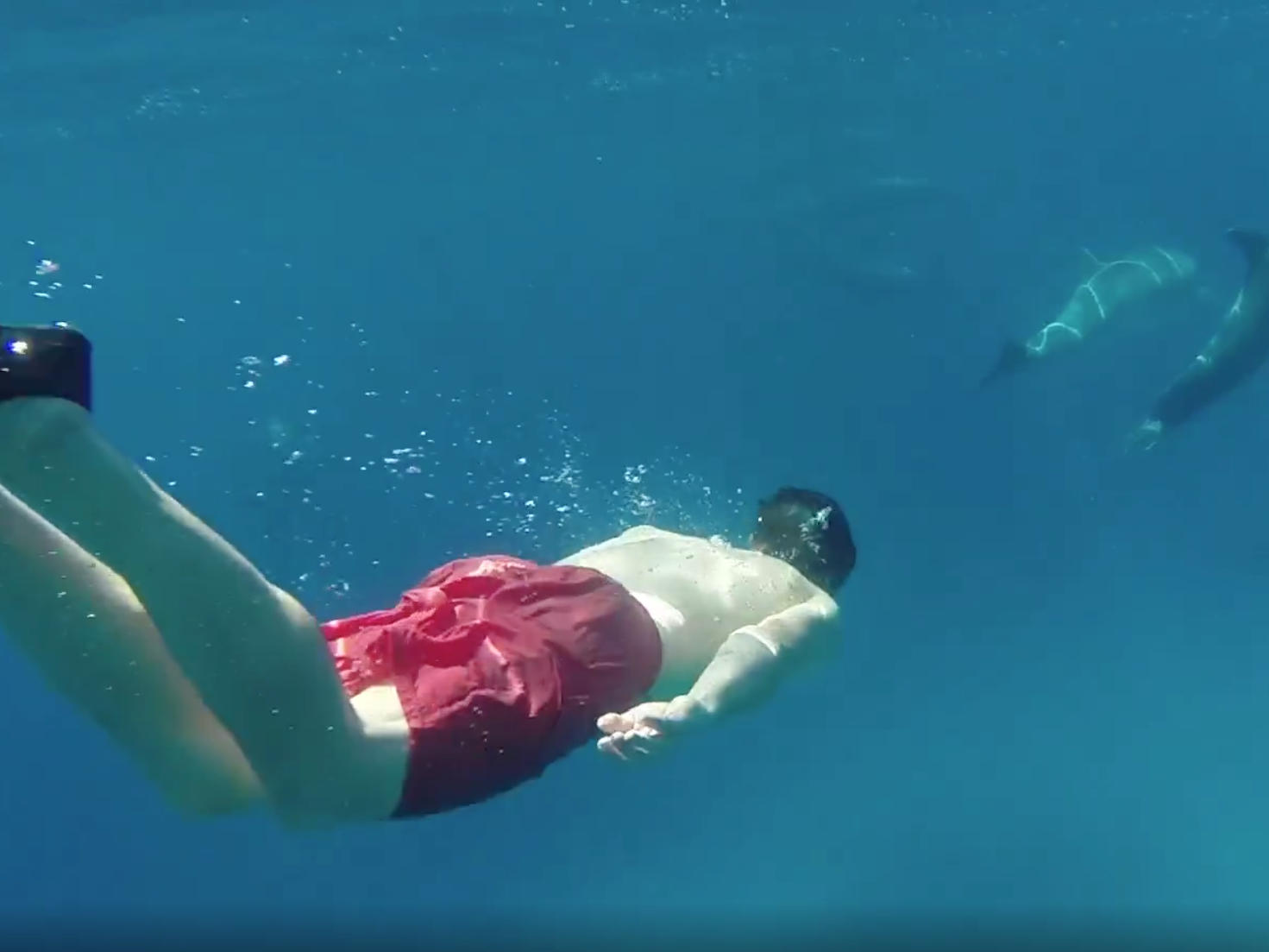 man diving on a Galapagos islands vacation
