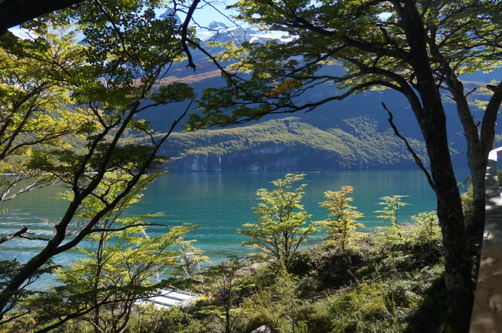 View of the lake from the forest in Villa la Angostura