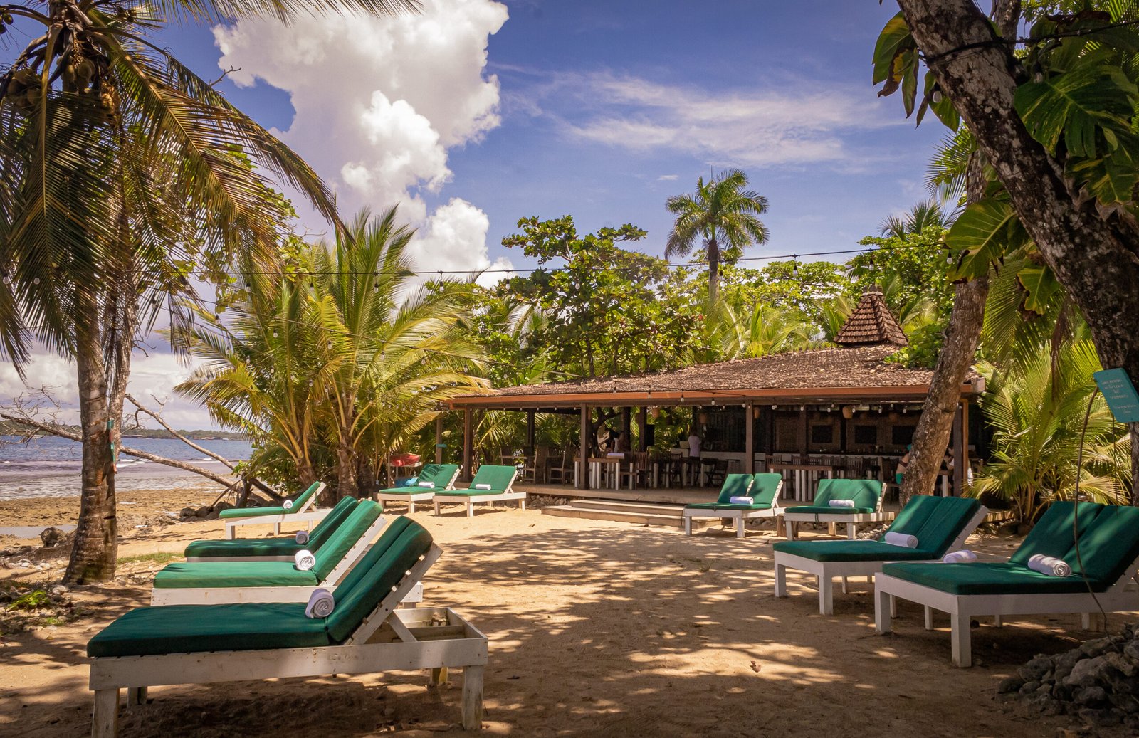 Paunch Beach Club in La Coralina, hotel in Bocas del Toro, Panama