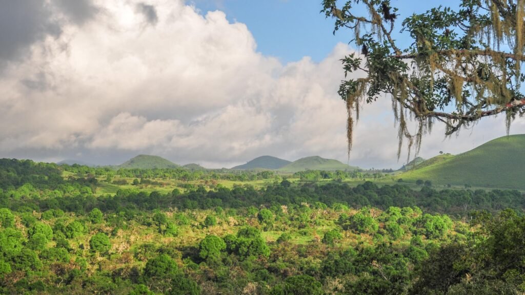 View of the Galapagos forest from above, a couple of mountains can be seen in the background. Galapagos Safari Camp