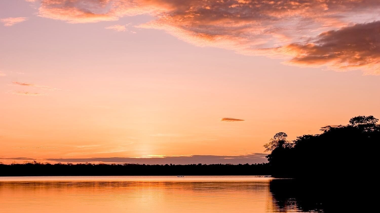 Sandoval Lake Peru Amazon | Landed Travel