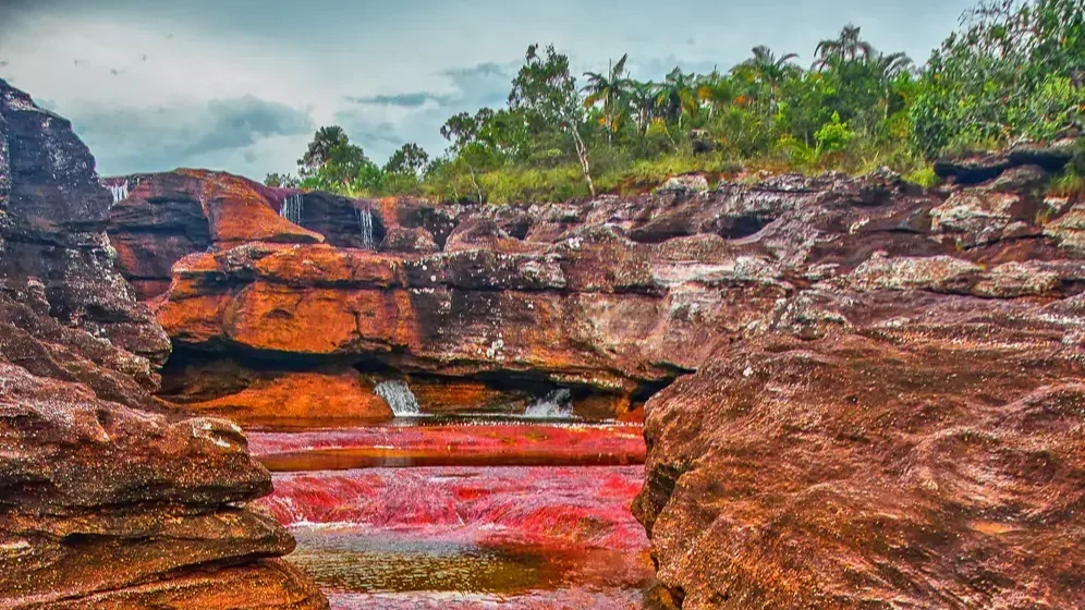 Colombia Cano Cristales
