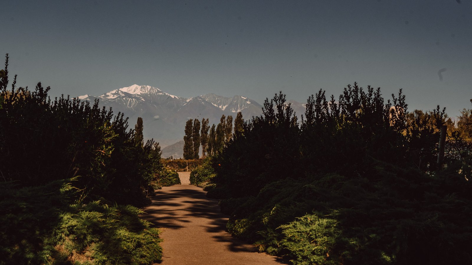 A paved path flanked by dense green hedges leading toward the snow-capped Andes mountains standing tall under a clear sky.