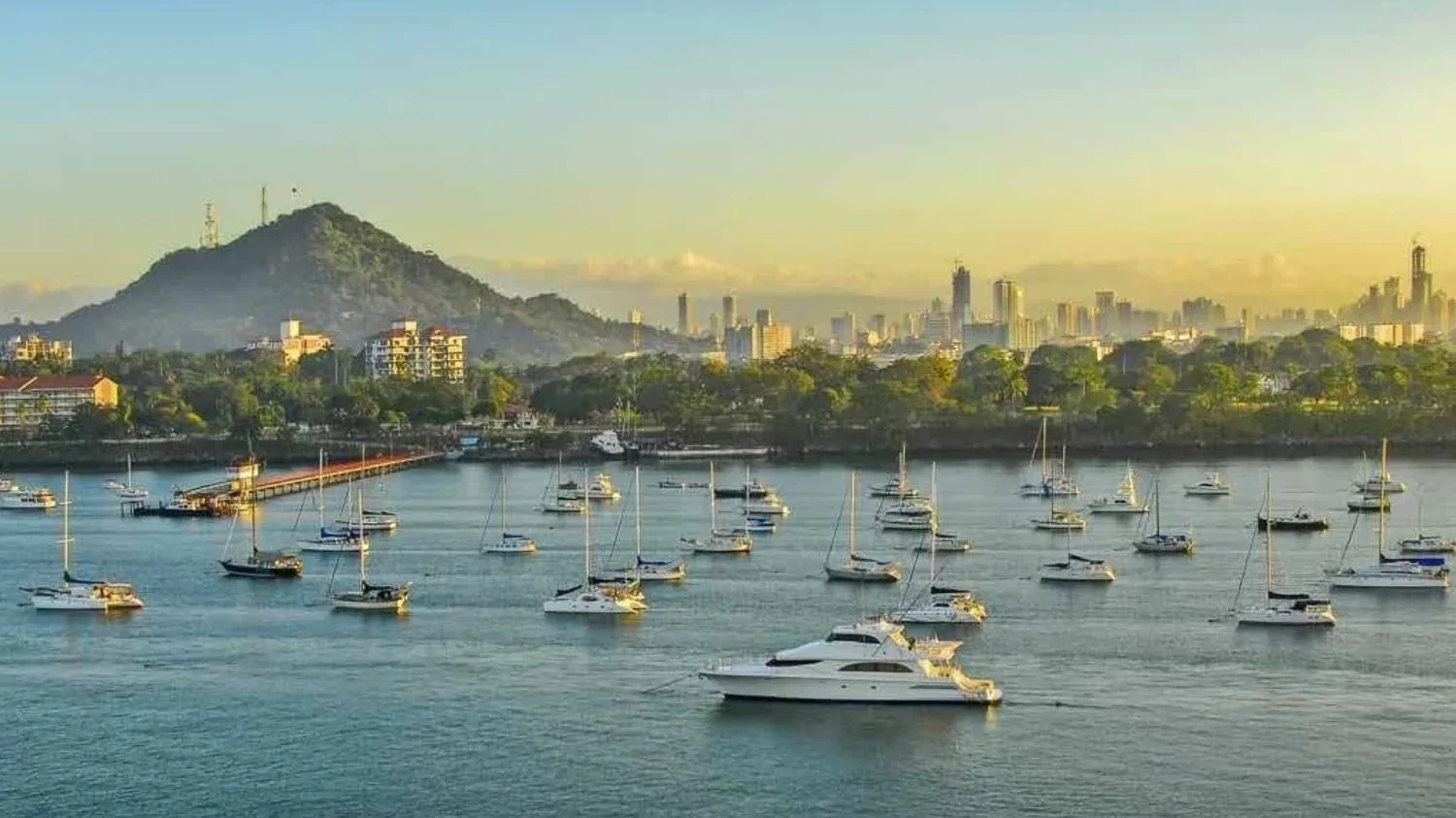 An elevated, wide-angle view of a scenic harbor in Panama City, filled with various sailboats and yachts