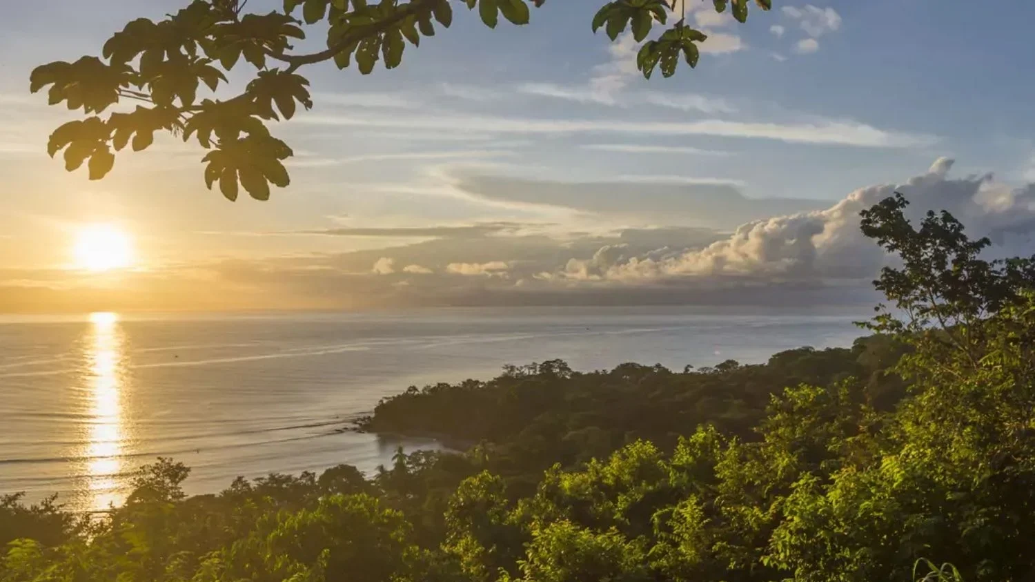 A scenic golden sunset view over the ocean from a lush, forested hillside on the Osa Peninsula. The sun reflects brightly on the calm water under a soft, cloudy sky, framed by tree branches in the upper foreground.