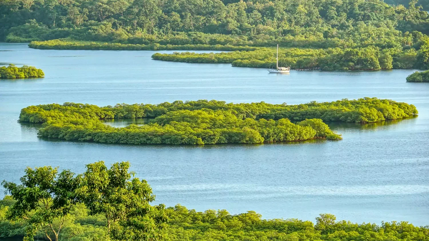 An aerial view of lush, green mangrove islets surrounded by calm turquoise waters. A white sailboat is anchored in a peaceful channel between the dense jungle vegetation.