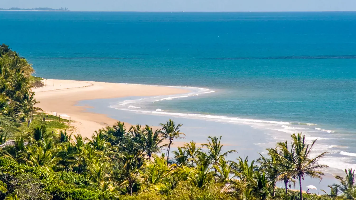 A scenic coastal view of a tropical white sand beach and turquoise ocean waves, framed by lush green palm trees in the foreground.