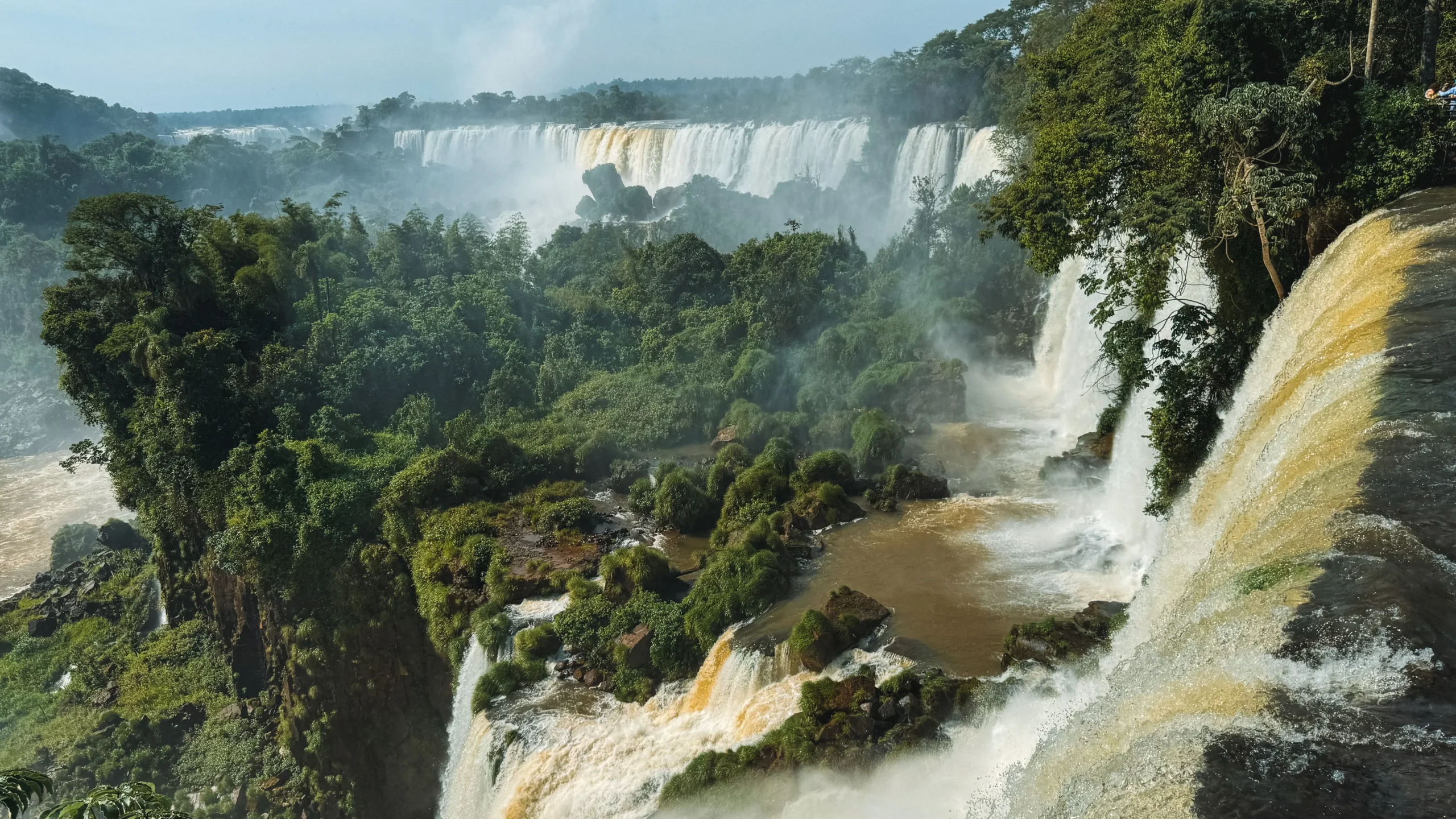 Panoramic view of the massive cascading waterfalls at Iguazu Falls, surrounded by lush green rainforest.