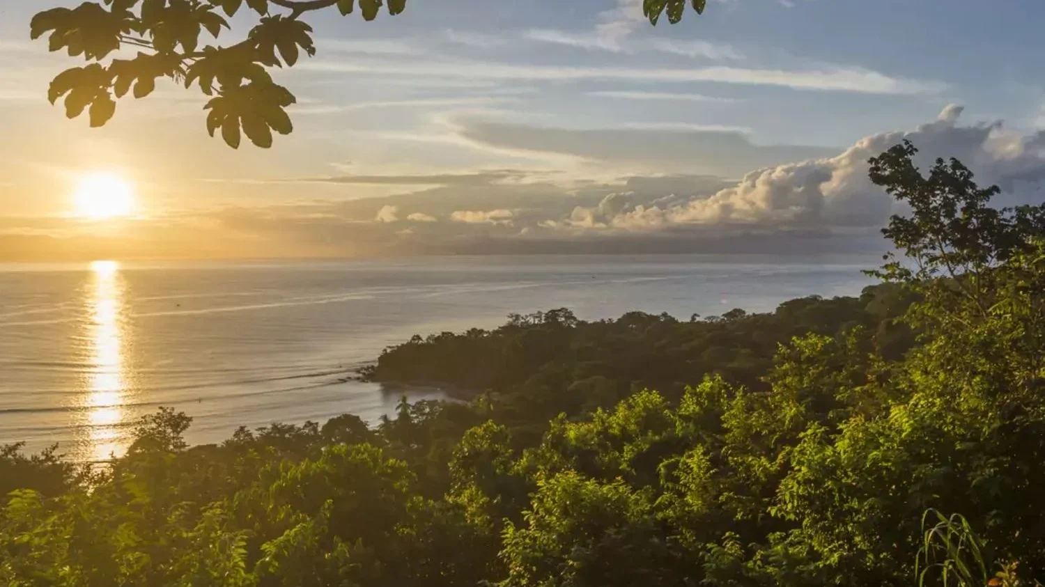 The Osa Peninsula - Luxury Travel in Costa Rica by LANDED Travel