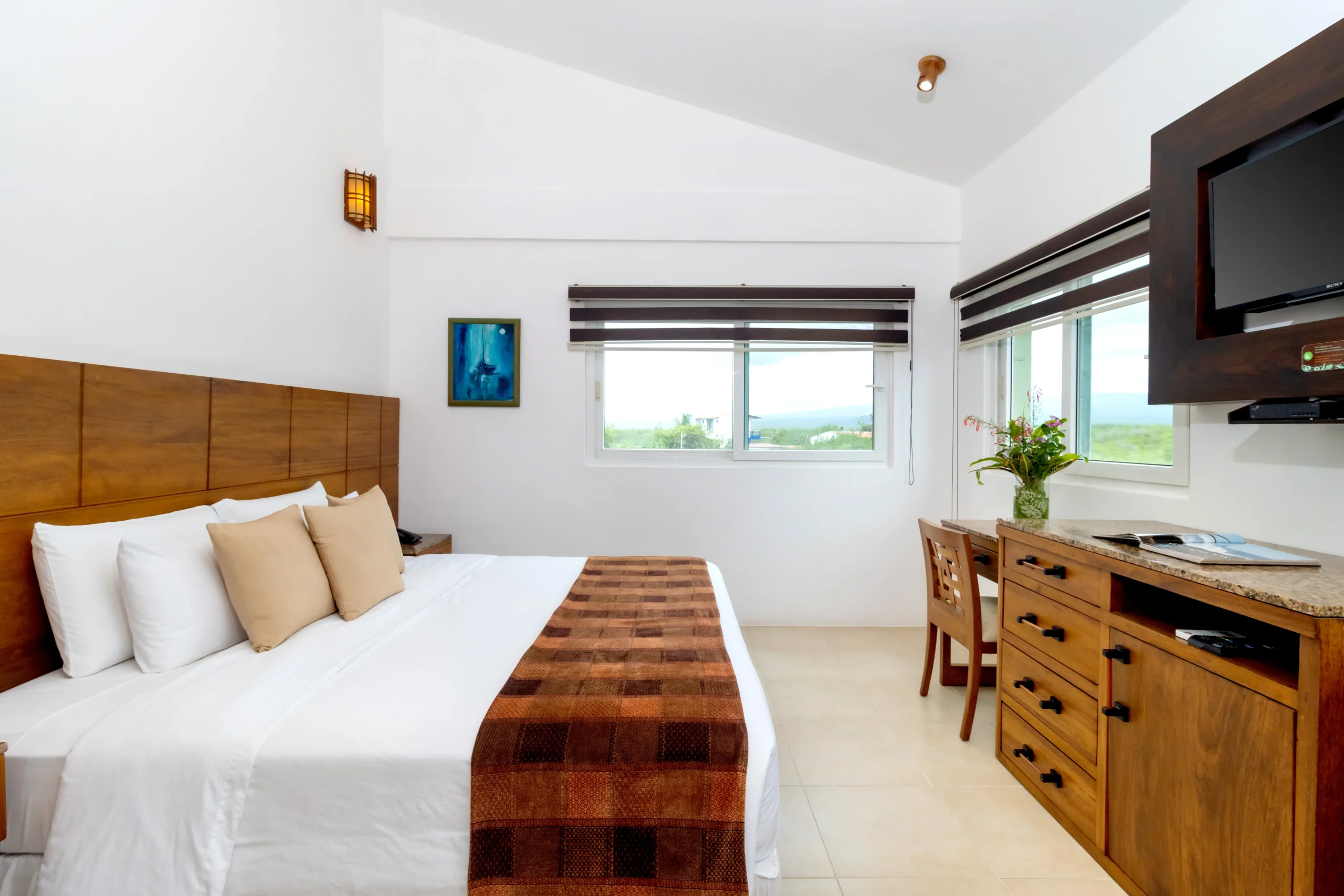 Volcano View Room