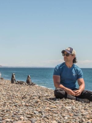 Sunning with the penguins at El Pedral